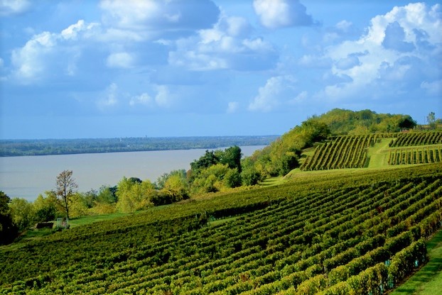Blaye and Bourg vineyards, on the Garonne